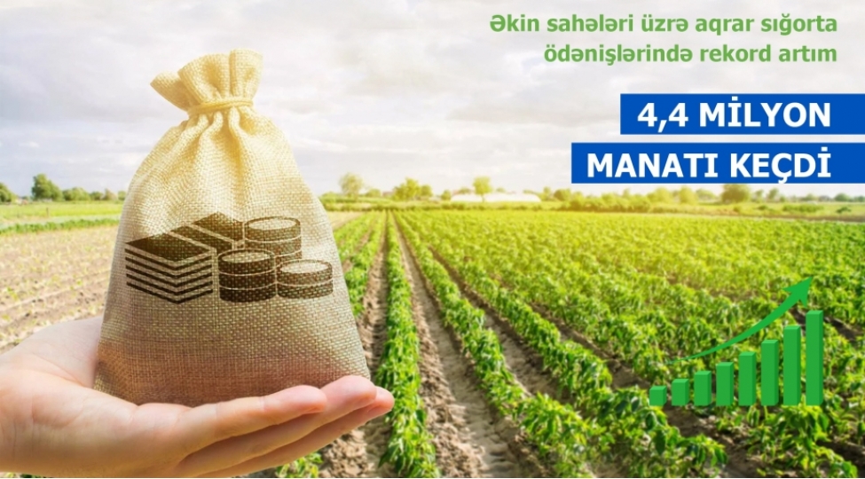 azerbaycanda-aqrar-sigorta-odenishlerinde-rekord-gosterici-qeyde-alinib