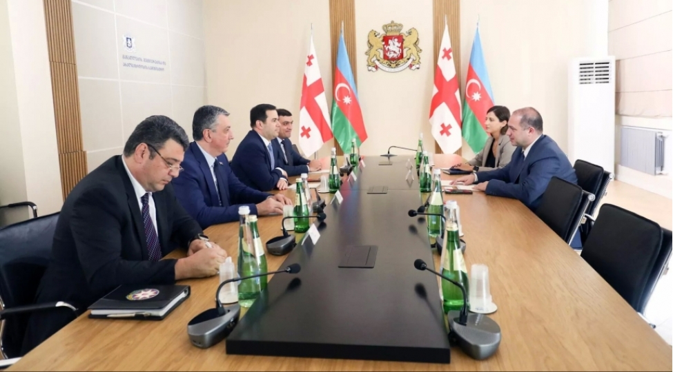 gurcu-ve-azerbaycanli-gencler-arasinda-elaqelerin-genishlendirilmesi-meseleleri-muzakire-olunub