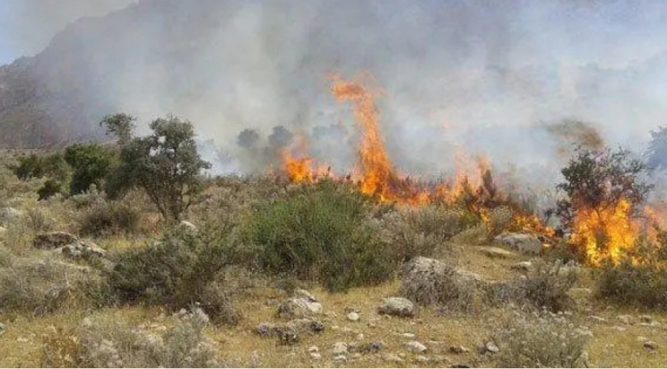 qazaxin-xanliqlar-kendinde-achiq-erazide-bash-veren-yangin-sondurulub