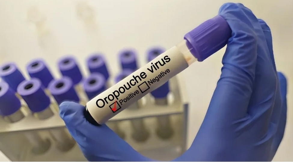amerika-qitesinde-yeni-virus-yayilib
