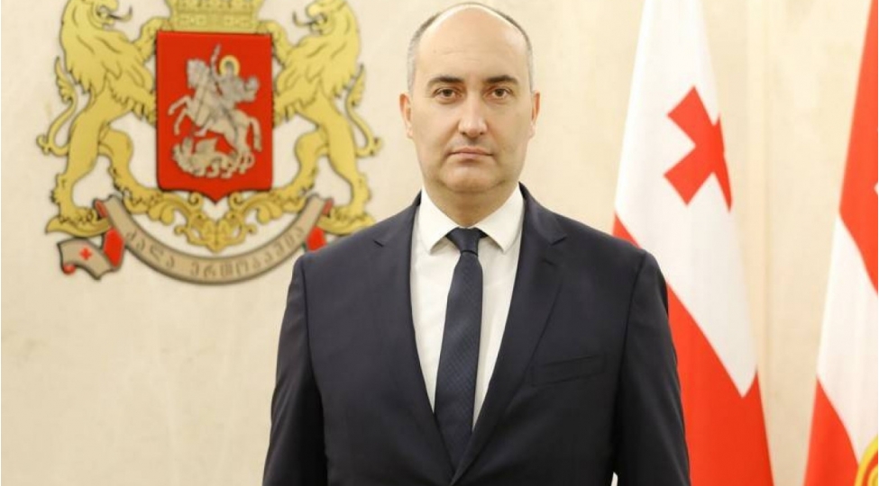 gurcustan-mudafie-nazirinin-muavini-ramshteyn-formatinin-iclasina-qatilib