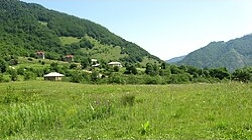 qubada-ayilar-kend-sakinlerinin-heyvanlarini-parchalayib