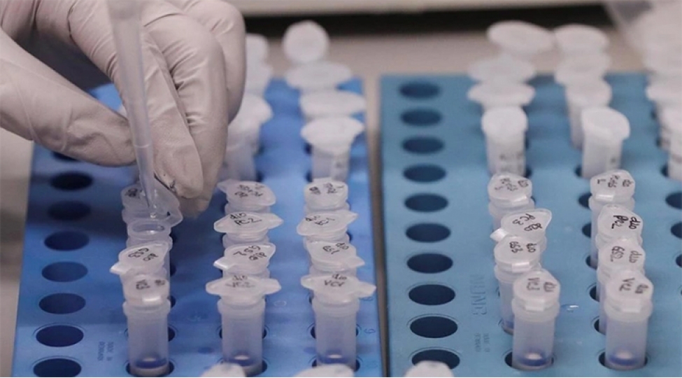 chinde-chikunqunyavirusuna-3-minden-chox-yeni-yoluxma-qeyde-alinib