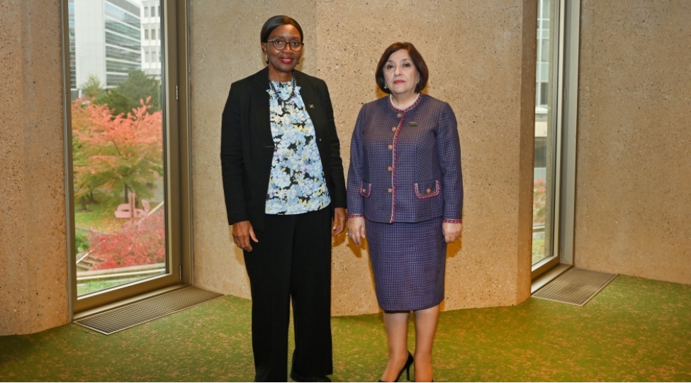 sahibe-qafarova-cenevrede-namibiya-ve-bosniya-ve-herseqovinanin-parlament-sedrleri-ile-gorushub