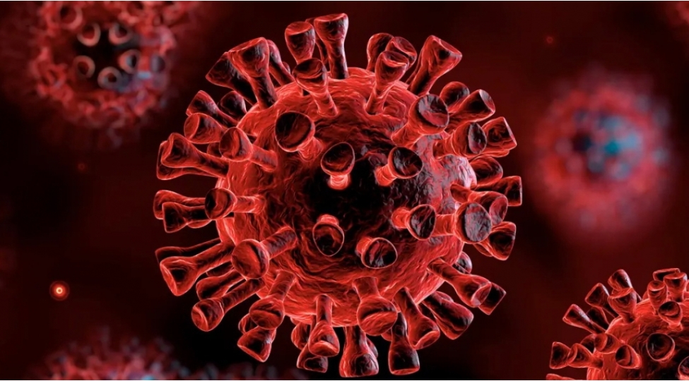 rusiyada-bildiribler-ki-braziliyada-ashkarlanan-yeni-koronavirusun-insana-oturulmesi-riski-azdir