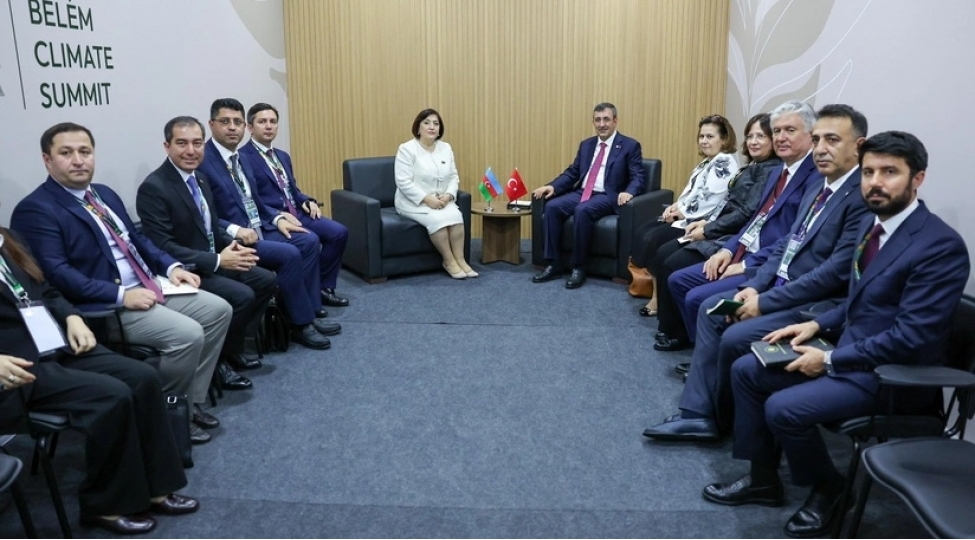 sahibe-qafarova-turkiyenin-vitse-prezidenti-ile-cop29-un-nailiyyetlerini-muzakire-edib