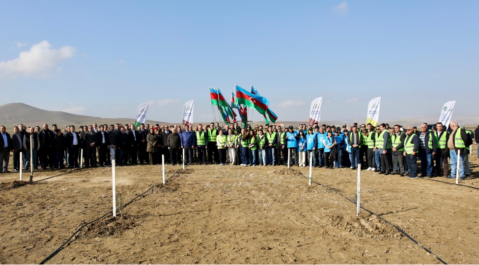 zefer-gunu-munasibetile-agacekme-aksiyasi-kechirilib-3