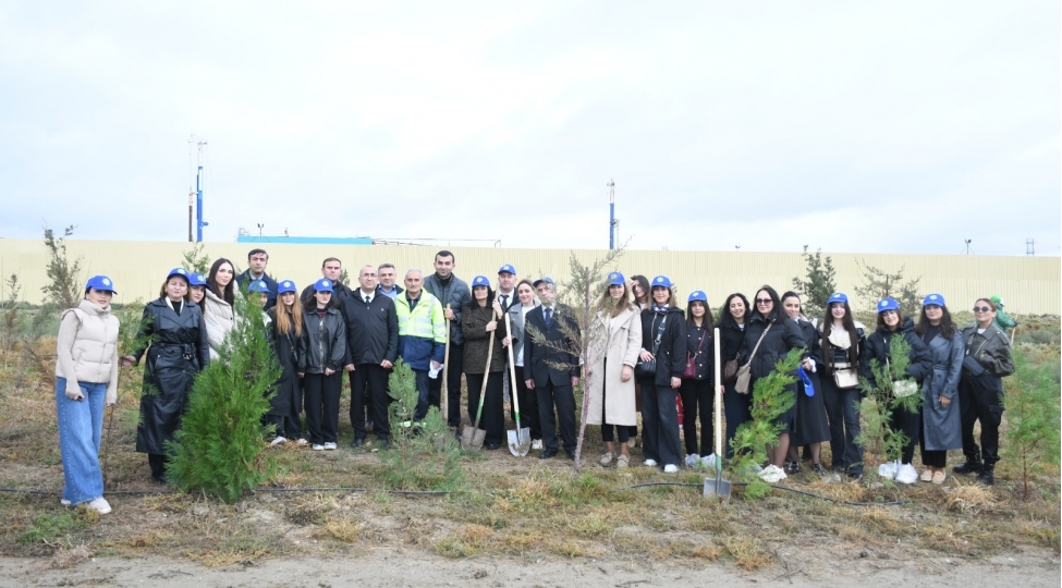 sumqayitda-zefer-gunune-hesr-olunmush-agacekme-aksiyasi-kechirilib