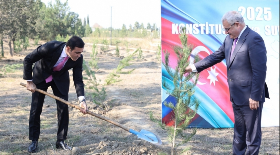 millet-vekili-terterde-agacekme-aksiyasinda