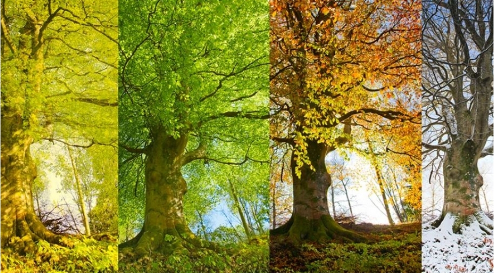 gelen-il-fesillerin-azerbaycana-daxilolma-vaxtlari-achiqlanib