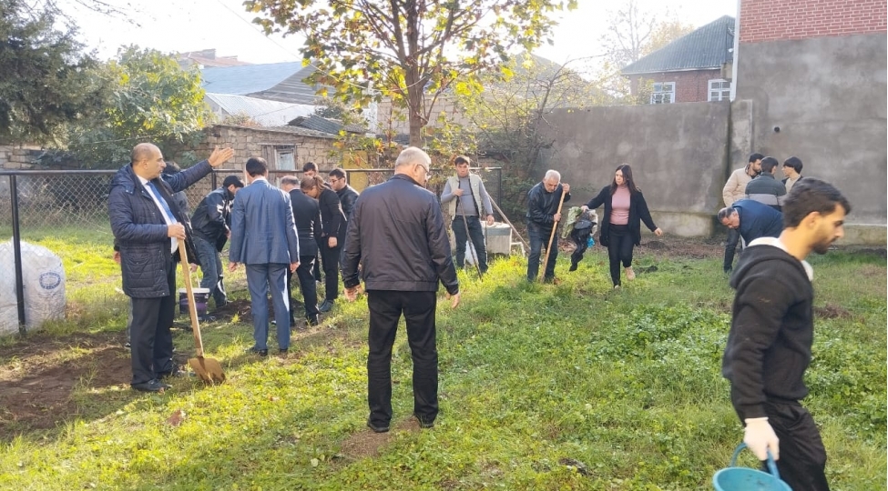 lenkeranin-yashilligina-daha-bir-tohfe