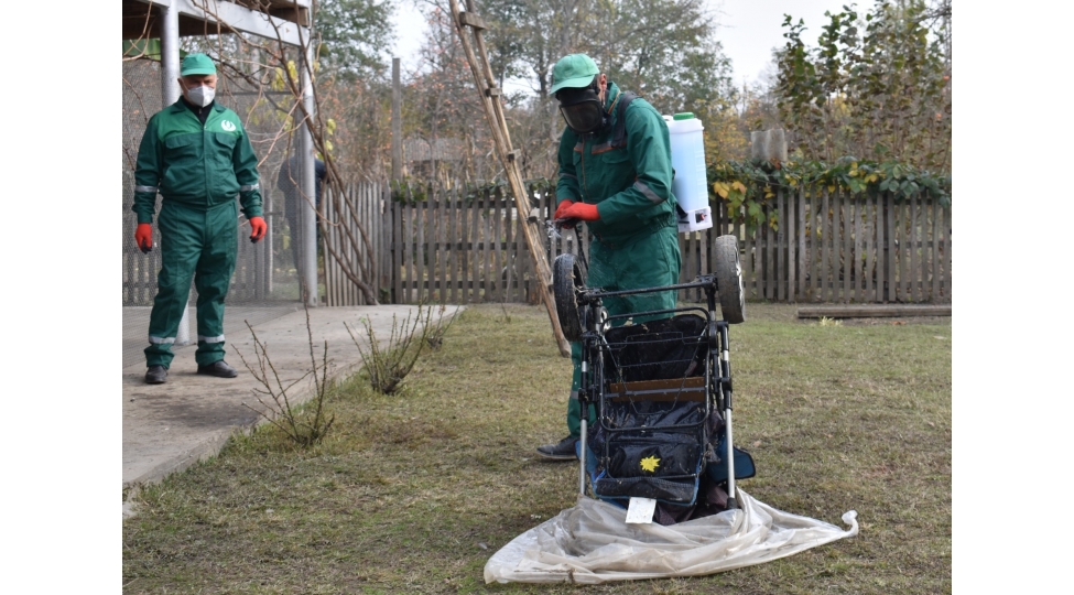 axa-emekdashlari-qehveyi-mermer-bagacigina-qarshi-28-rayonda-monitorinqler-aparib