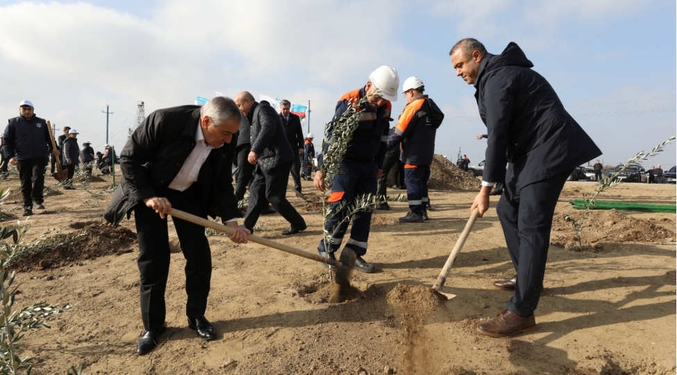 sabunchuda-yap-in-yaradilmasinin-33-illiyine-hesr-olunmush-agacekme-aksiyasi-kechirilib-foto