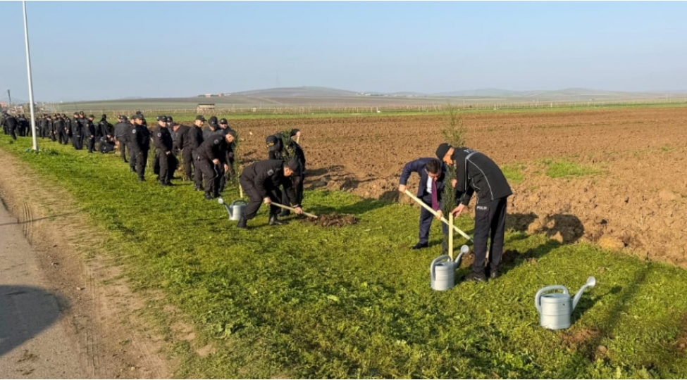 polis-emekdashlari-celilabadda-agacekme-kampaniyasi-kechiribler