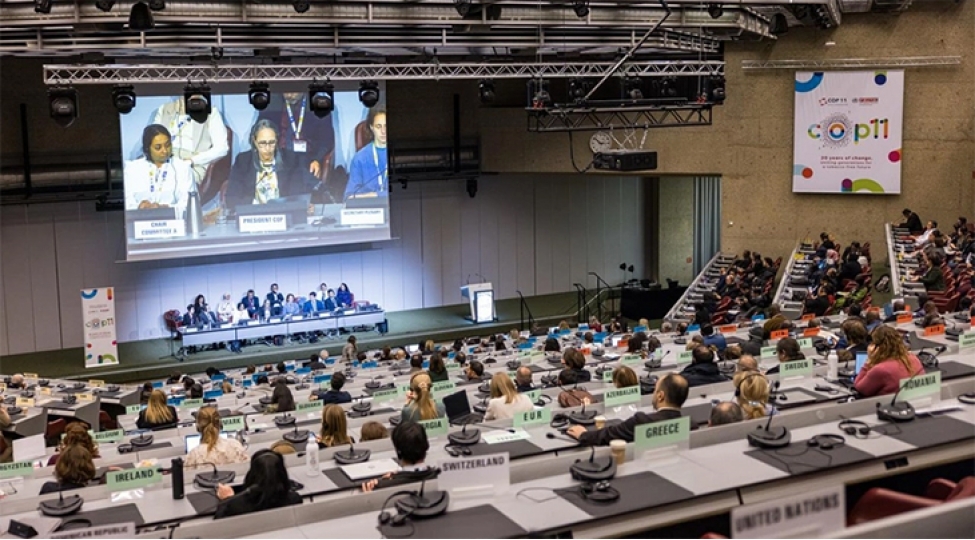 ust-nin-cherchive-konvensiyasinin-novbeti-konfransi-irevanda-kechirilecek