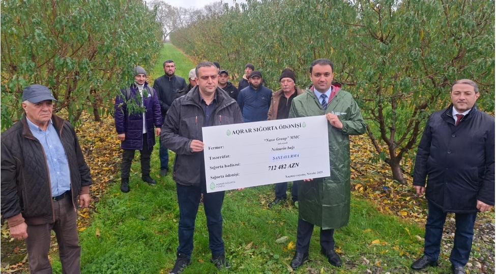 xachmaz-rayonunda-meyve-baglarina-deymish-zerer-uzre-teqriben-1-milyon-manat-sigorta-odenishi-edilib
