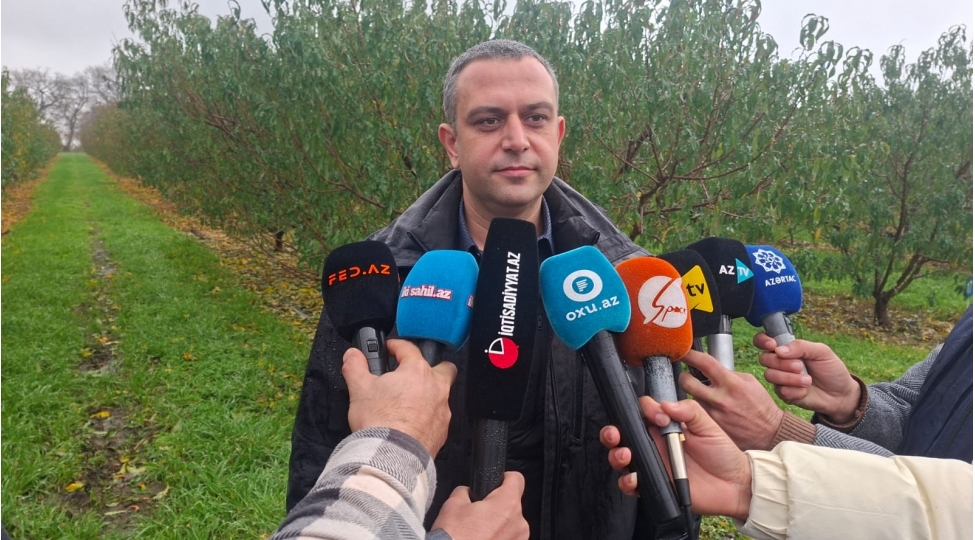 dovlet-teshviqinin-olmasi-fermerler-uchun-chox-vacib-ve-faydalidir