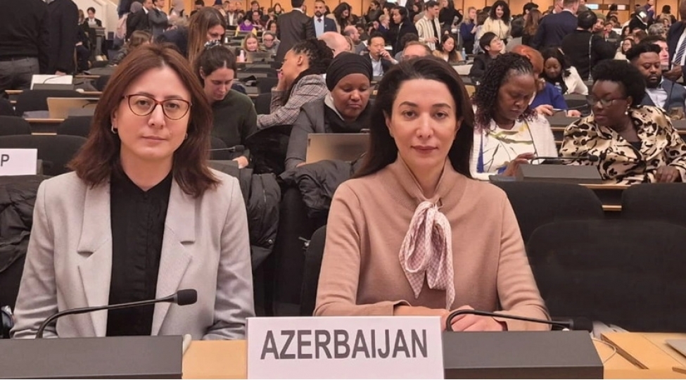 sebine-eliyeva-bmt-forumunda-azad-edilmish-erazilerdeki-mina-probleminden-danishib