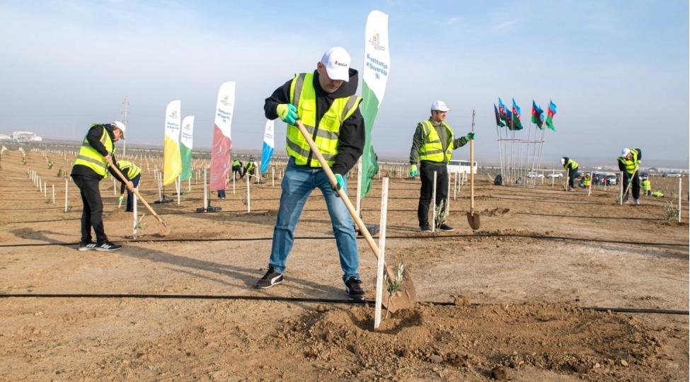 socar-midstream-agacekme-aksiyasi-kechirib