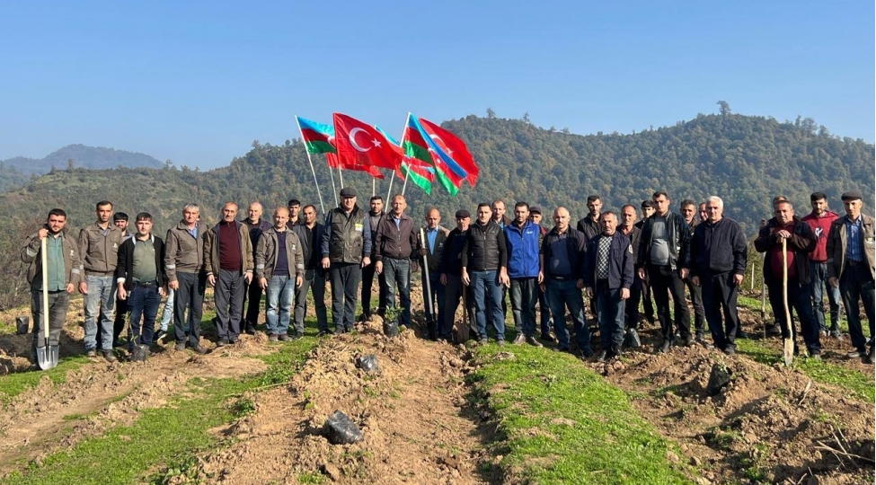 talish-mesheleri-zenginleshir