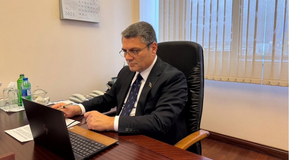 mezahir-efendiyev-beynelxalq-vebinarda-ishtirak-edib