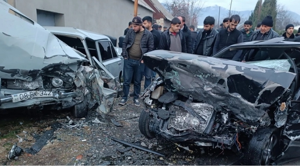 qezada-olenlerin-sayi-artib