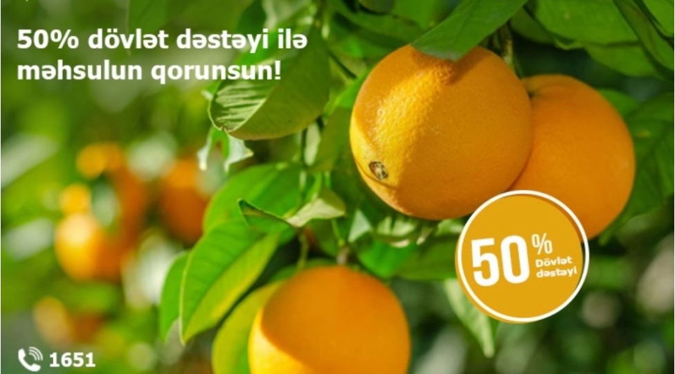 meyve-baginizi-sigortalamagi-unutmayin-mehsulu-ve-gelirinizi-qoruyun