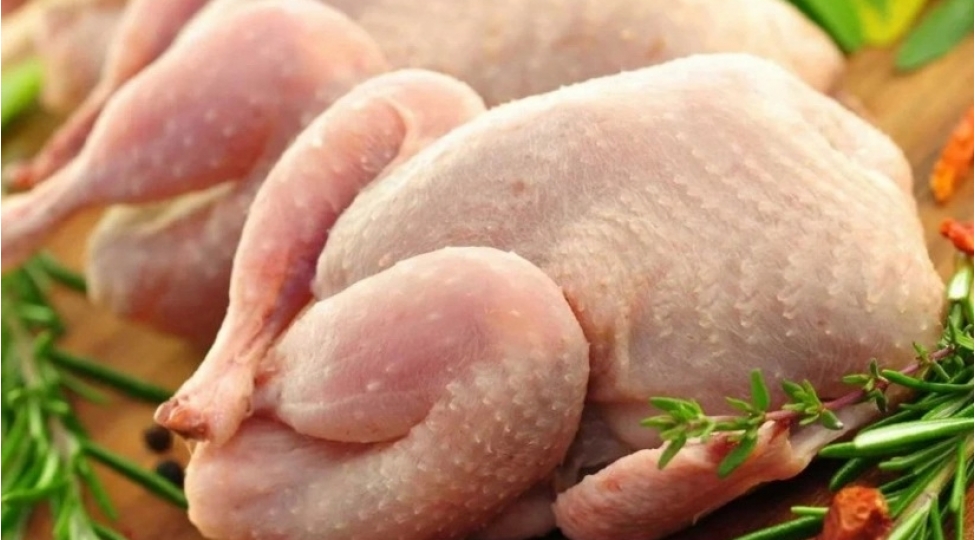 azerbaycan-chinden-toyuq-etinin-tedarukunu-berpa-edib