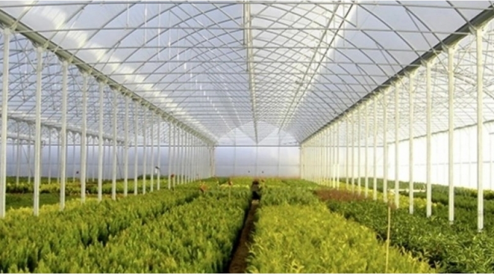 mm-kend-teserrufati-fealiyyeti-ile-meshgul-olan-obyektlerin-tikintisi-uchun-icaze-telebini-qebul-edib