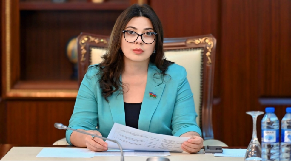 tarixi-amnistiya-teshebbusu-humanizm-ve-merhemet-enenelerine-sadiqliyin-numayishi