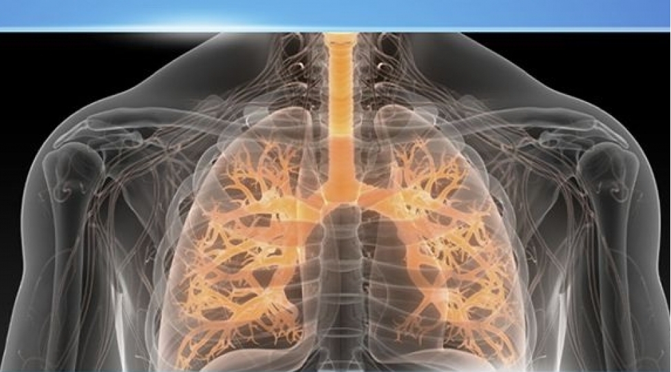 kistoz-fibroz-xestelerinin-derman-teminati-artiq-qeydiyyatda-olduqlari-erazi-poliklinikalarinda-heyata-kechirilir
