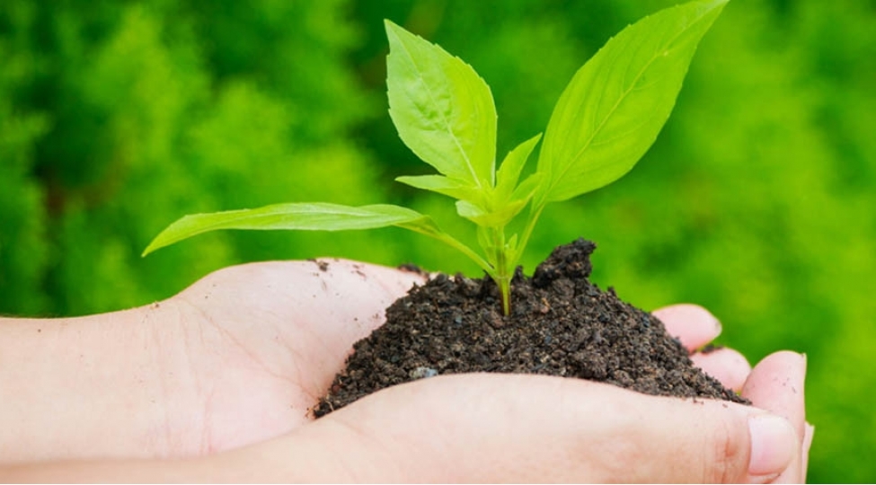 etraf-muhitin-muhafizesinde-prokurorluq-orqanlarinin-rolu