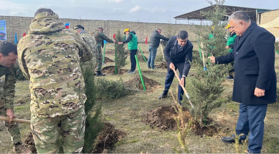 xezer-rayonunda-konstitusiya-ve-suverenlik-ili-cherchivesinde-novbeti-agacekme-aksiyasi-kechirilib