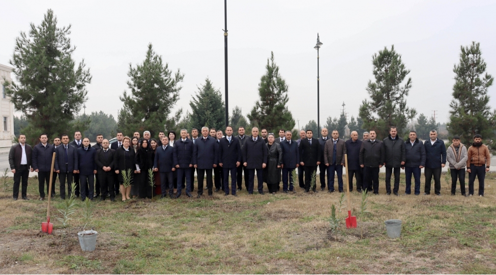 agdashda-prezident-ilham-eliyevin-dogum-gunu-ile-elaqedar-agacekme-aksiyasi-kechirilib