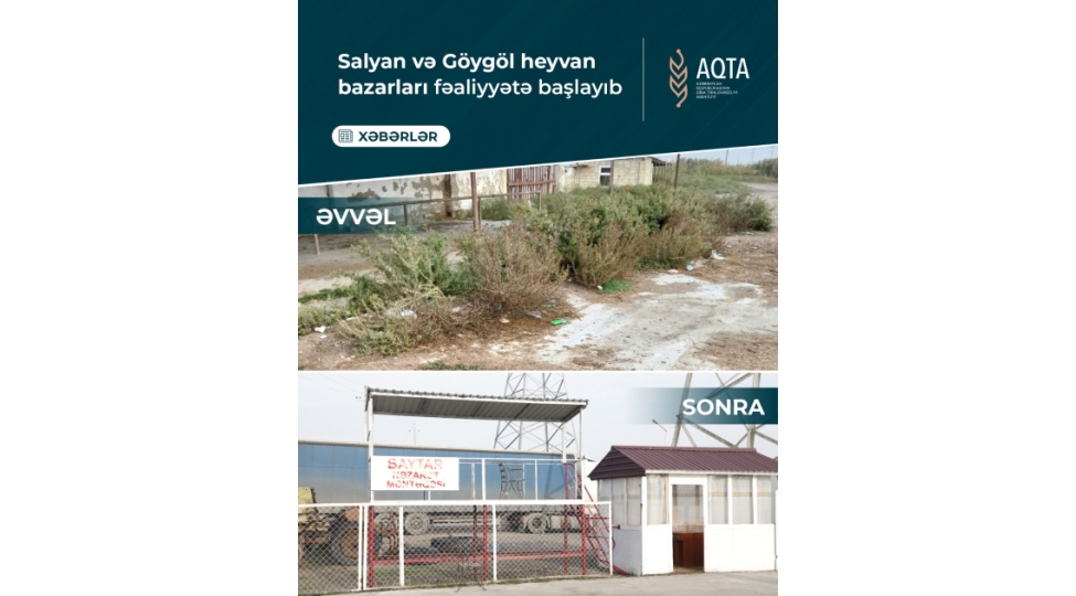 salyan-ve-goygol-heyvan-bazarlari-fealiyyete-bashlayib