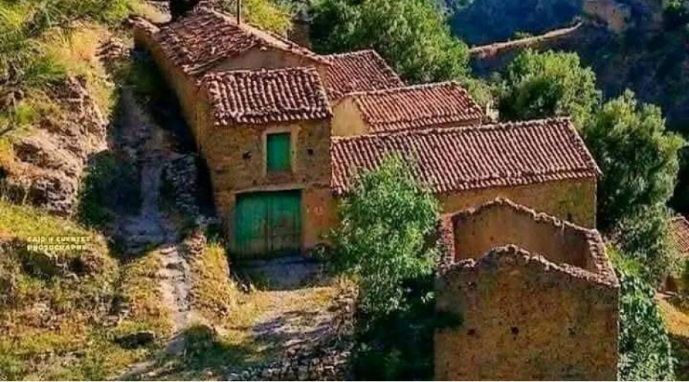 elcezairin-hessas-regionunda-chekilishler-aparan-fransiz-cutluk-olkeden-chixarilib