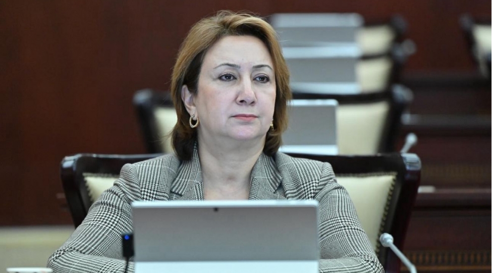 naxchivana-qarshi-dron-hucumu-beynelxalq-huququn-achiq-pozuntusudur