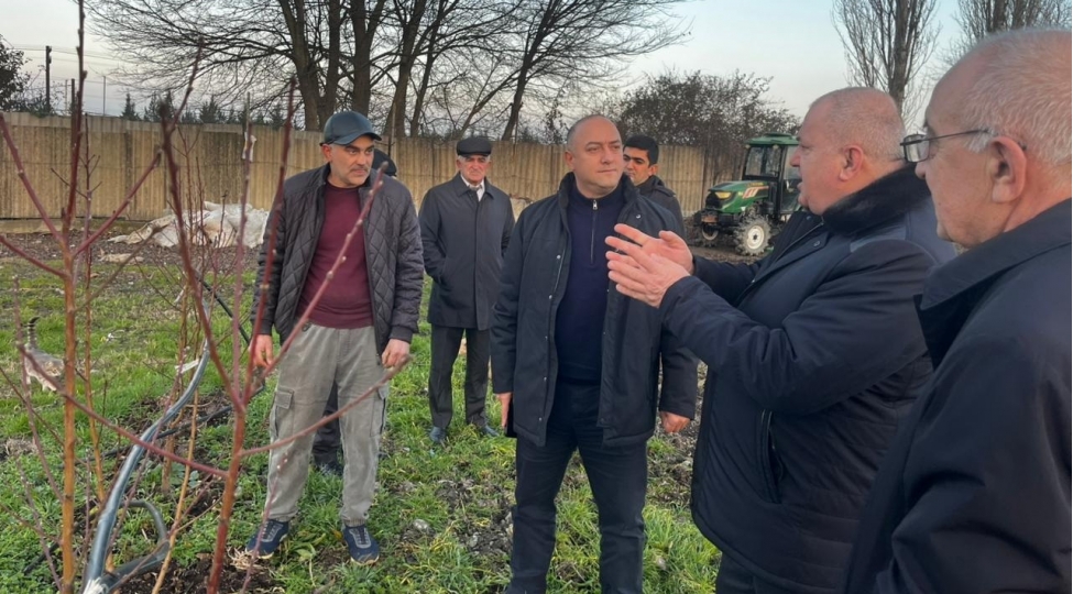 azad-ceferli-xachmazda-vetendashlari-qebul-edib-fermerlerle-gorushub