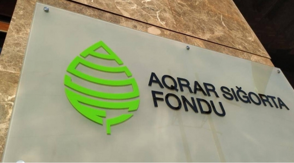 aqrar-sigorta-fondu-shaxtavurmaya-gore-915-min-manat-zerer-odenishleri-edib