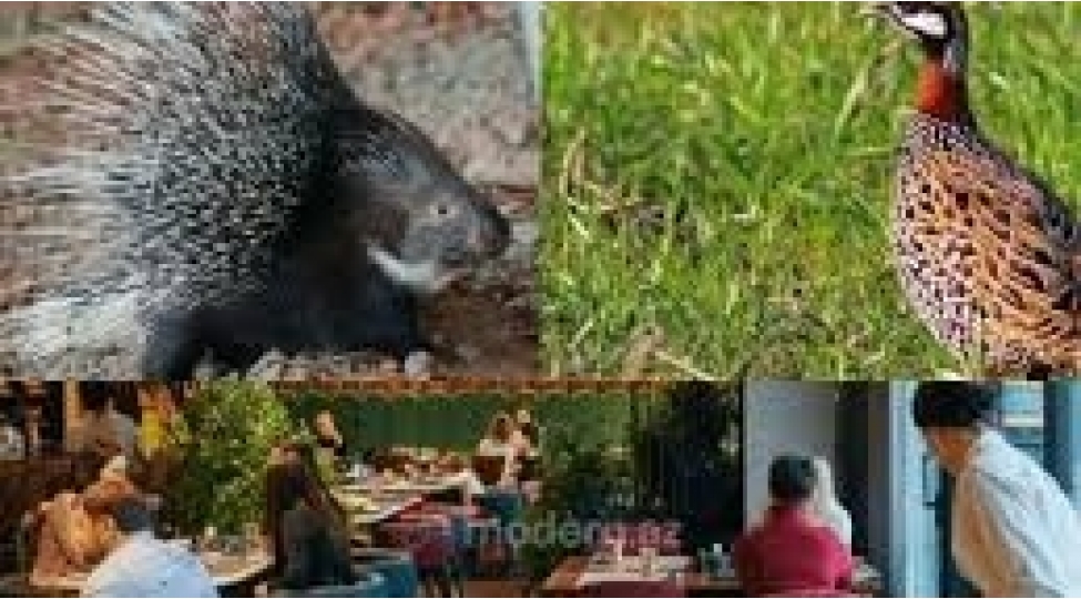 nadir-kirpi-ve-turac-eti-satan-restoranlara-qarshi-tedbir-gorulub