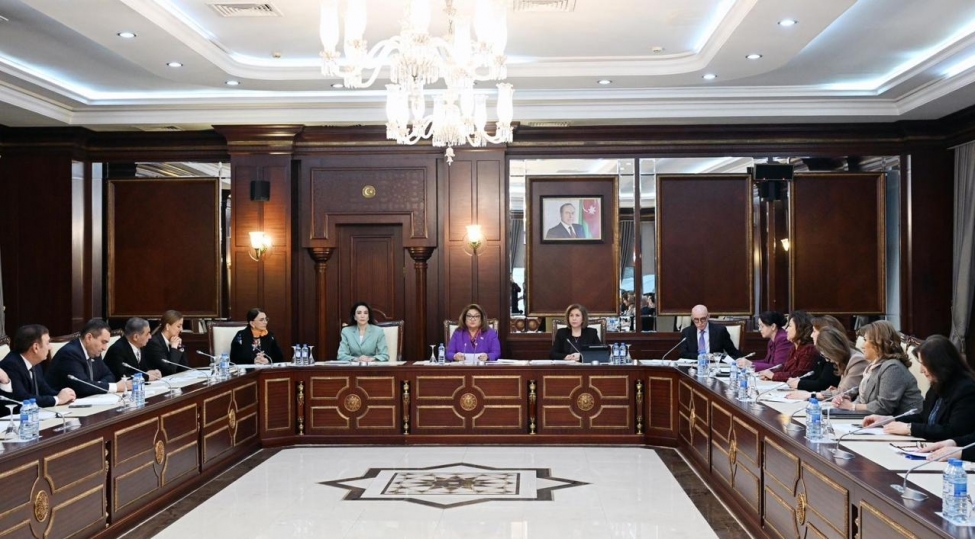 ombudsman-ushaq-huquqlari-haqqinda-azerbaycan-respublikasi-qanununun-layihesinin-muzakiresinde-ishtirak-edib