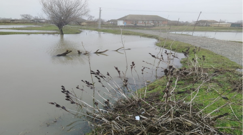 masallida-ekin-sahelerini-su-basib-foto