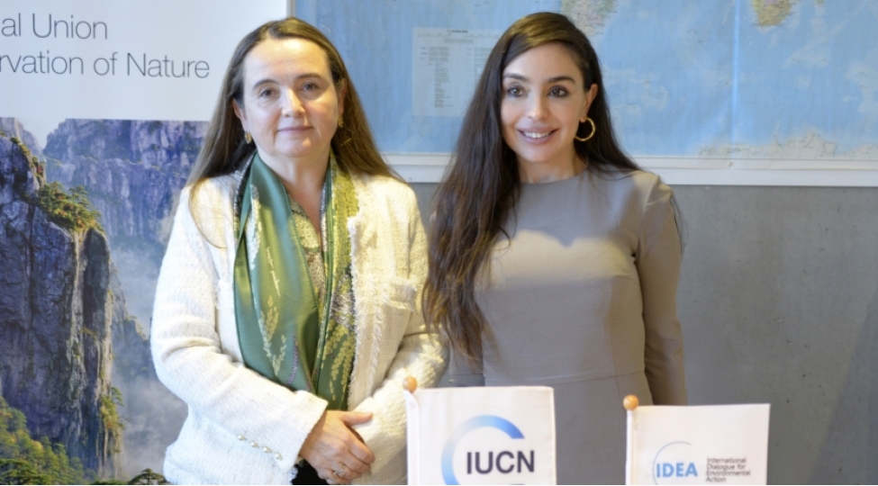 leyla-eliyeva-ve-qretel-agilar-isvechrede-emekdashliq-imkanlarini-muzakire-edibler-foto