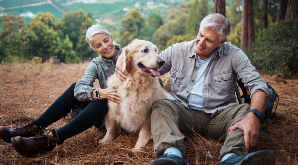 absh-da-omur-uzunlugu-rekord-hedde-chatib