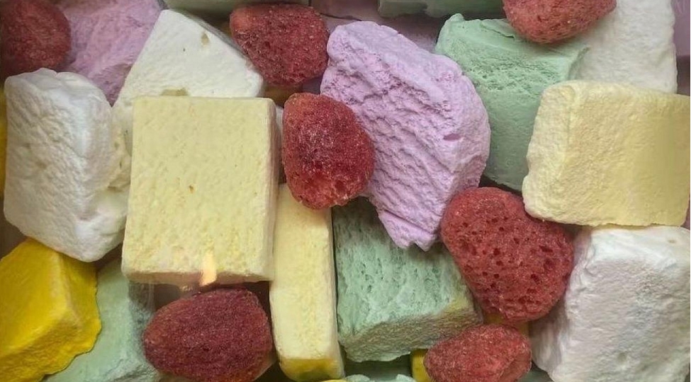 qurudulmush-dondurmalar-yenilik-yoxsa-tehluke