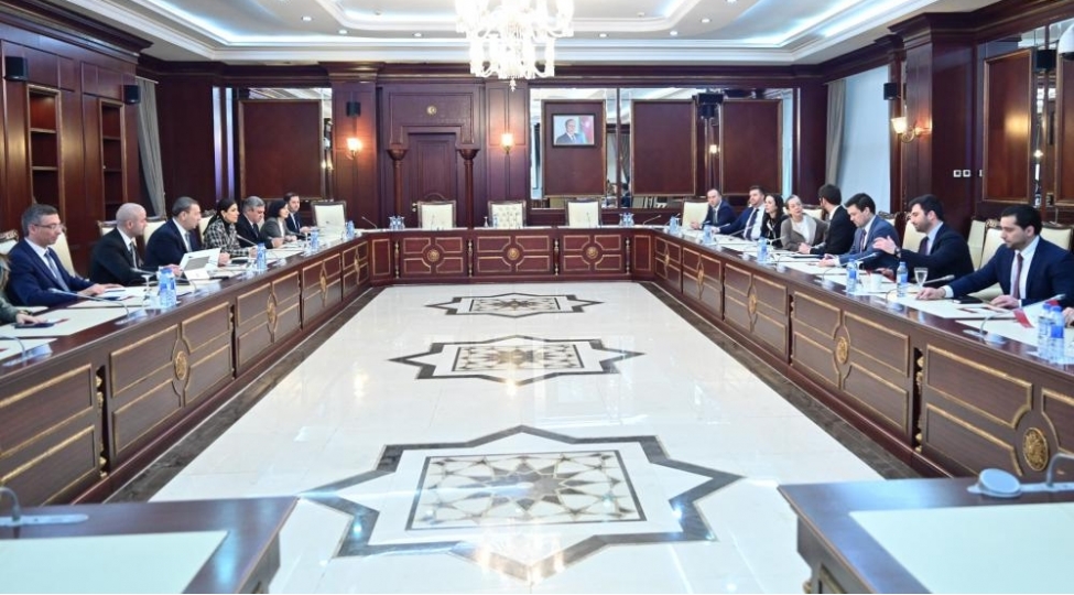 milli-meclisde-absh-konqresinin-numayende-heyeti-ile-gorush-kechirilib-2