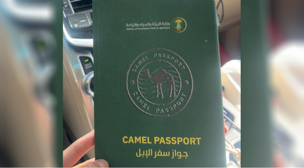 seudiyye-erebistani-deve-pasportu-layihesini-ishe-saldi