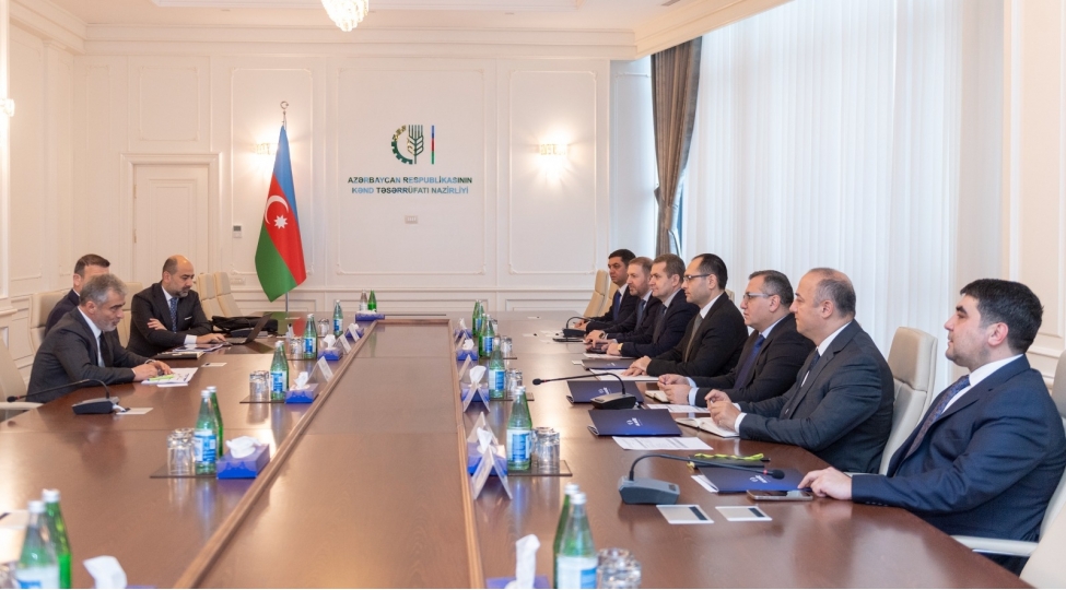 nazir-mecnun-memmedov-canturk-alagozle-gorushub