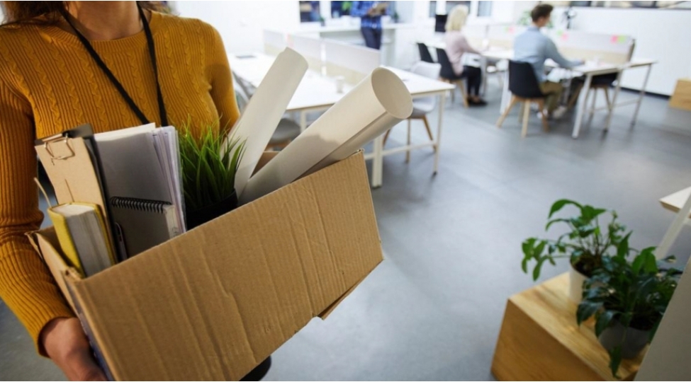 finlerin-gelirleriazalib