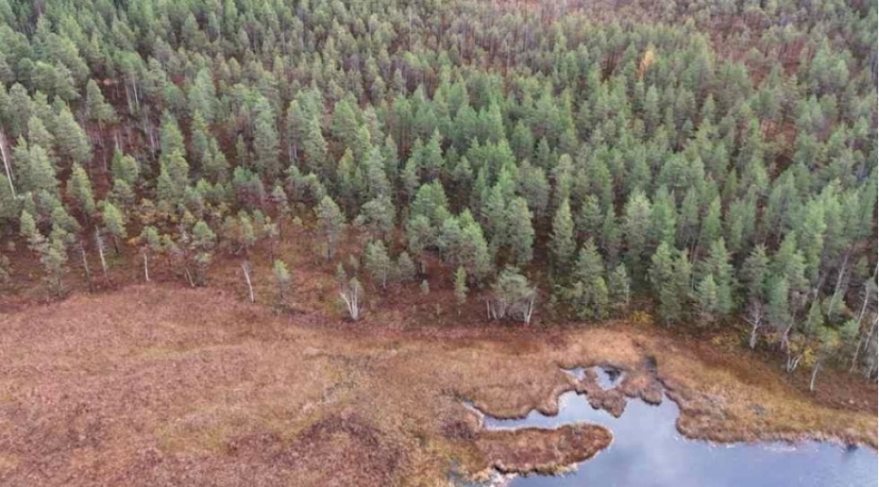 finlandiyada-su-hovzelerini-qorumaq-uchun-tebii-usul-tetbiq-edilir